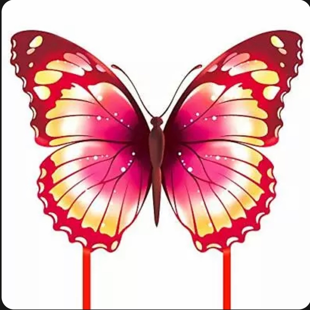 Mint's Colorful Life Butterfly Kite